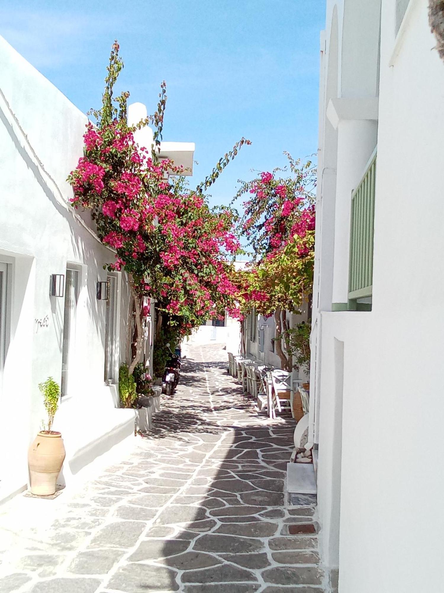 Sunloft-Paros Aparthotel Naousa  Ngoại thất bức ảnh